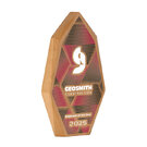 FACET REAL WOOD AWARDS E162902