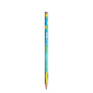 BIC EVOLUTION ECOLUTIONS DIGITAL PENCIL E160710