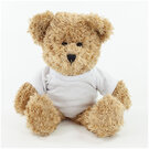 Scruffy Bear with a White T-Shirt E1612905