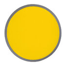 Foldable frisbee with a polyester case