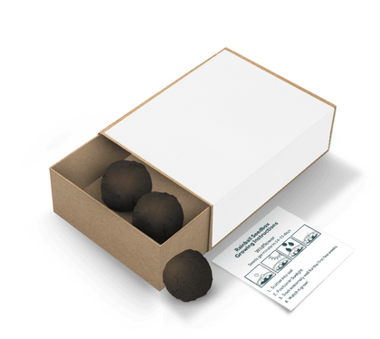 Seed Ball Matchboxes