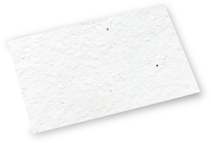 Seeded Paper Postcards A7 (1PP)