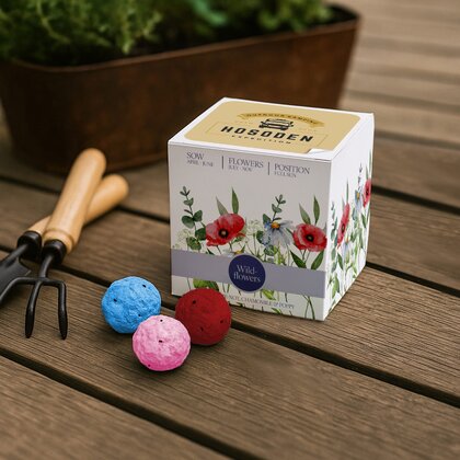 Super Express Essentials Rainballs Seed Cubes