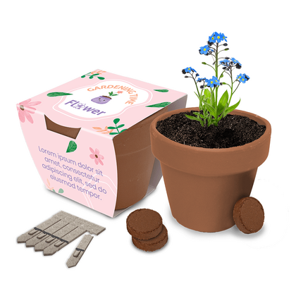 Large Clay Pot Gardens