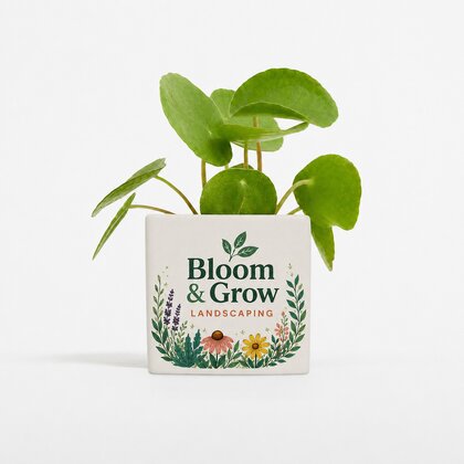 Plant In 6cm Aluminium Pot