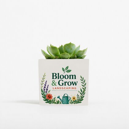 Plant In 6cm Aluminium Pot