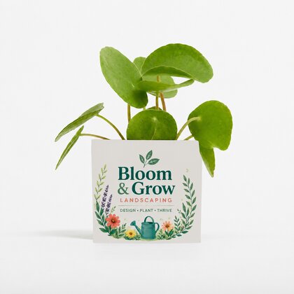 Plant In 9cm Aluminium Pot