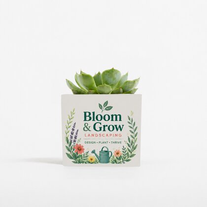 Plant In 9cm Aluminium Pot