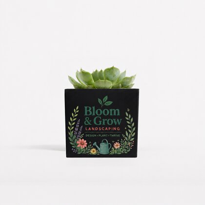 Plant In 9cm Aluminium Pot