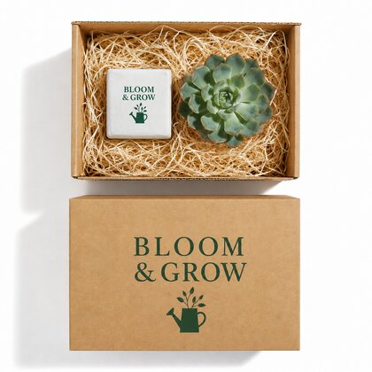 Plant And Candle Hamper 6cm Concrete