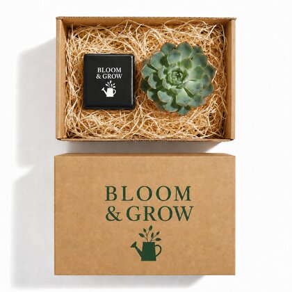 Plant And Candle Hamper 6cm Aluminium