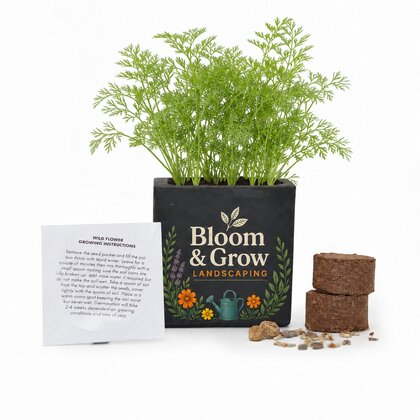 Grow Kit 6cm Aluminium Pot