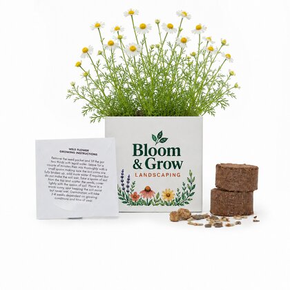 Grow Kit 6cm Aluminium Pot