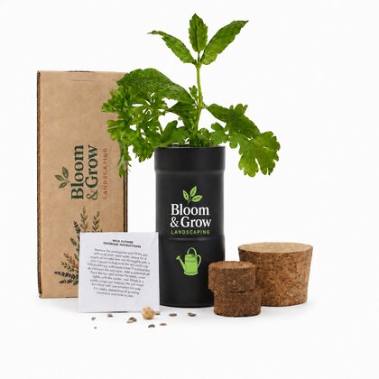 Mixed Herbs Desktop Garden - Printed Box