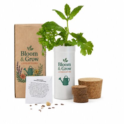 Mixed Herbs Desktop Garden - Printed Box
