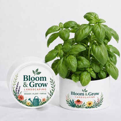 Flower Pot