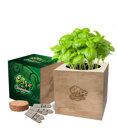 Desktop Cube Gardens