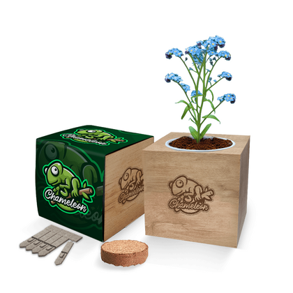 Desktop Cube Gardens