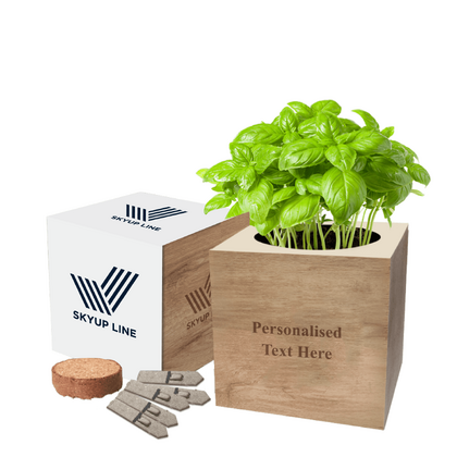 Desktop Cube Gardens