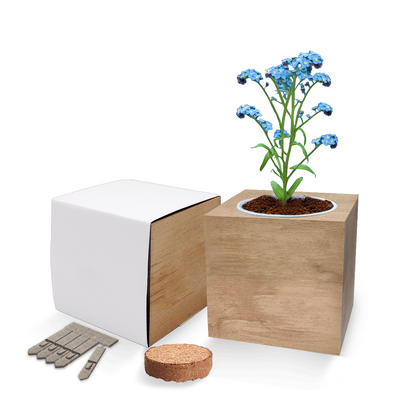 Desktop Cube Gardens