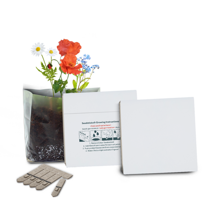 Letterbox Gardens