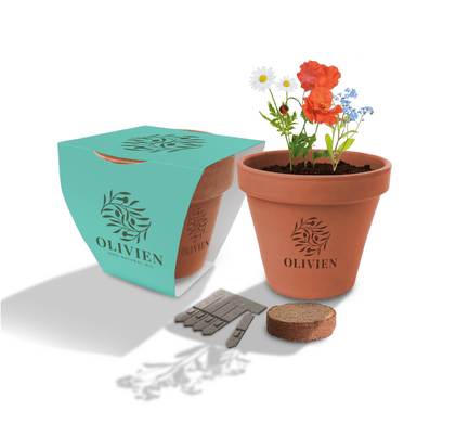 Clay Pot Gardens