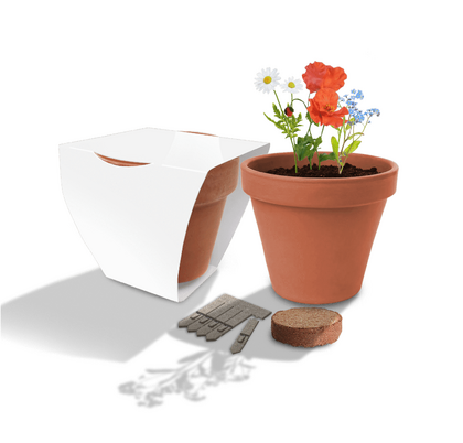 Clay Pot Gardens
