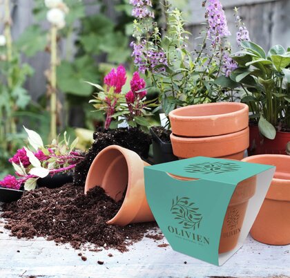 Clay Pot Gardens