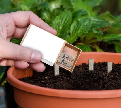 Matchbox Seedsticks&reg;