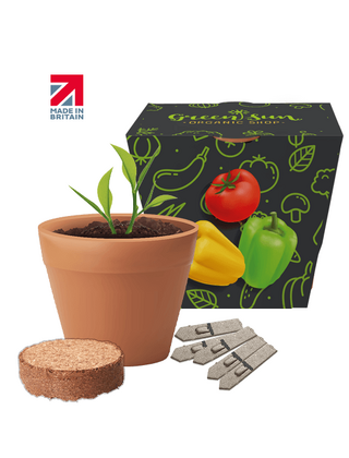 Recycled Pot Gardens