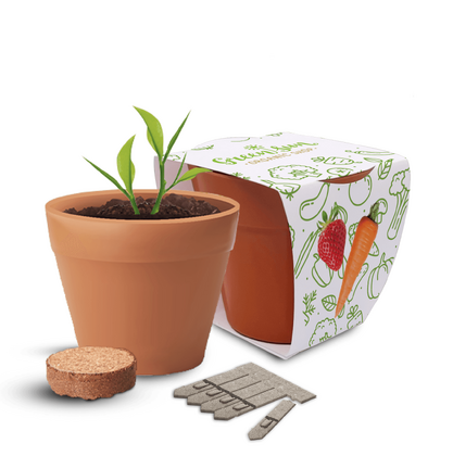 Recycled Pot Gardens
