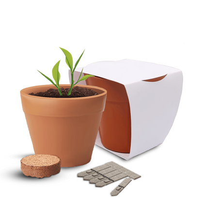 Recycled Pot Gardens