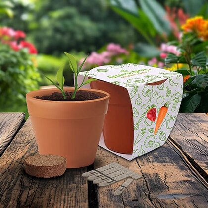 Recycled Pot Gardens