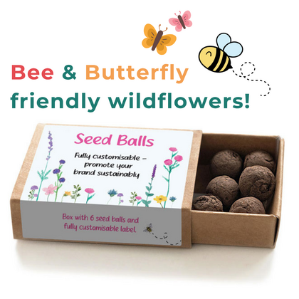 Seed Balls