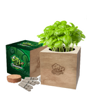 Desktop Cube Gardens