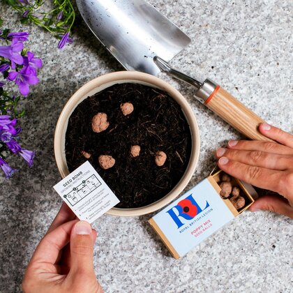 Seed Balls - Matchbox