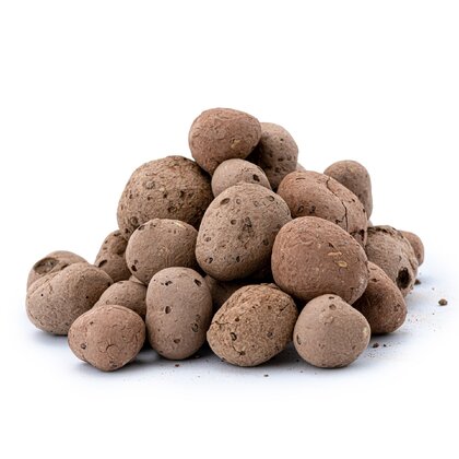 Seed Balls - Matchbox