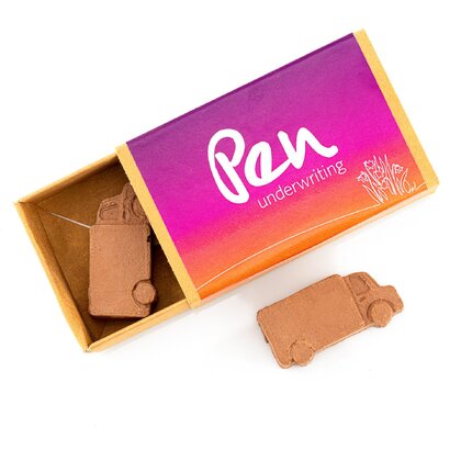 Van Shaped Seed Bombs - Matchbox