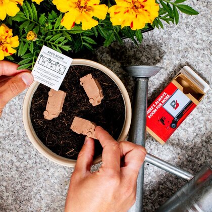 Van Shaped Seed Bombs - Matchbox