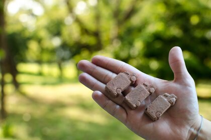 Van Shaped Seed Bombs - Matchbox