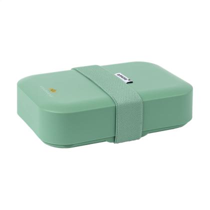 Amuse Classic Lunchbox Medium