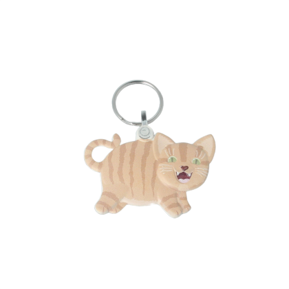 Recycled Cat 'FunKeys' Keyring