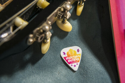 Recycled Guitar Plectrum