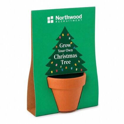 Christmas Tree Grow Kit
