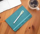 Recycled EcoScribe - Quill