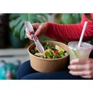 Recycled Spork