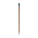 Sproutworld Set: Sharpened Pencil and Header Card