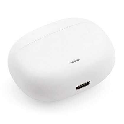 Pascal Earbuds Rabs And Raluminium 400mah. 7h Playtime  (26540)
