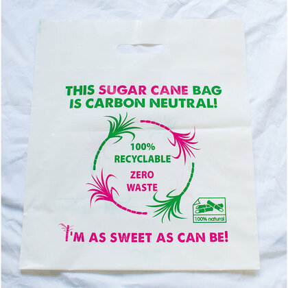 Sugarcane Bags     (26495)