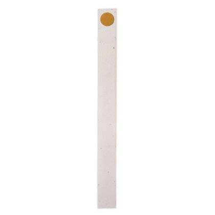 Seed Paper Wristband  (26735)